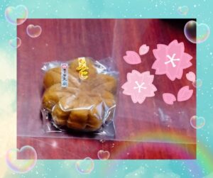 めぐみ｜日立デリヘルの写メ日記