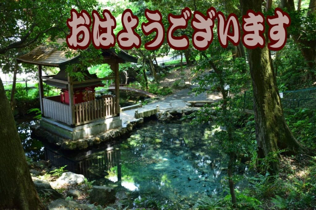 ことねの写メ日記