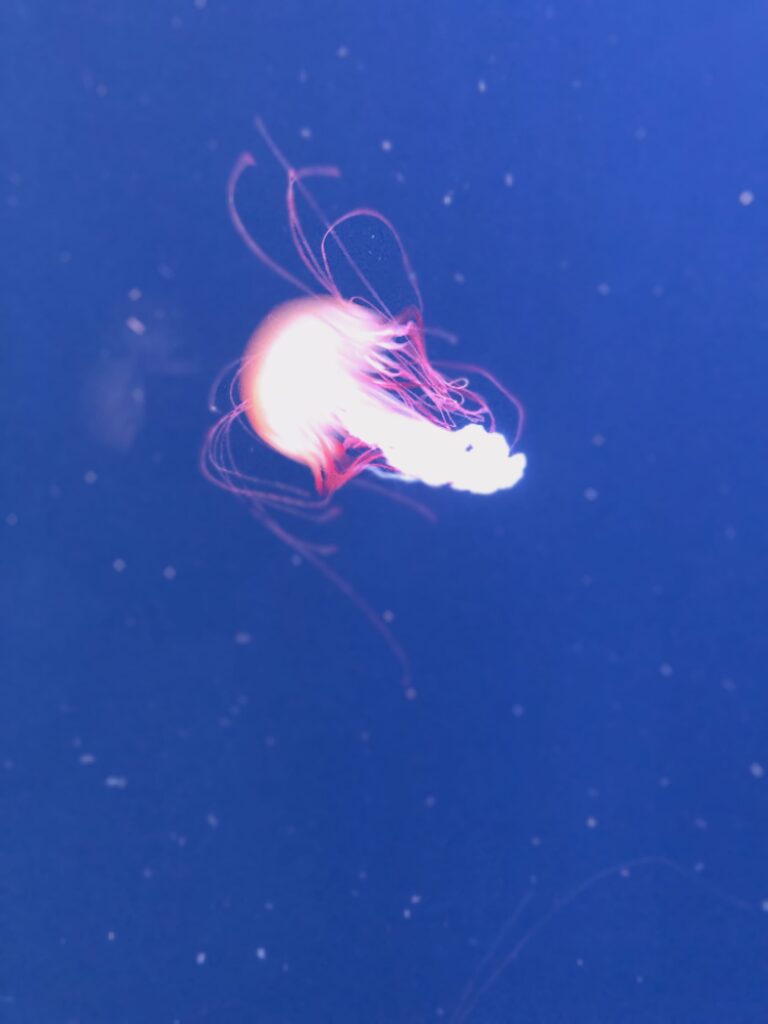 あいらの写メ日記