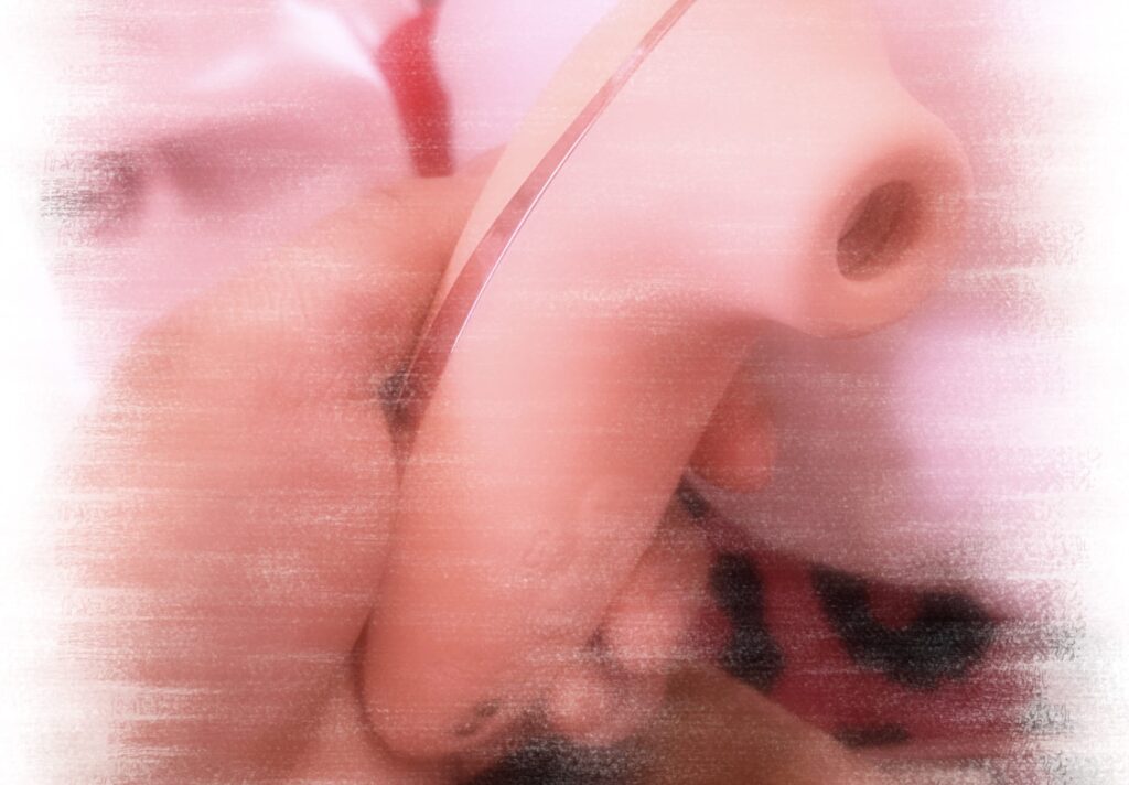 あいらの写メ日記