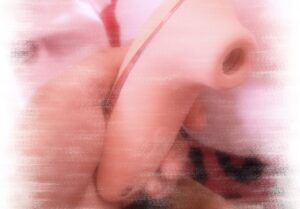 あいら｜日立デリヘルの写メ日記