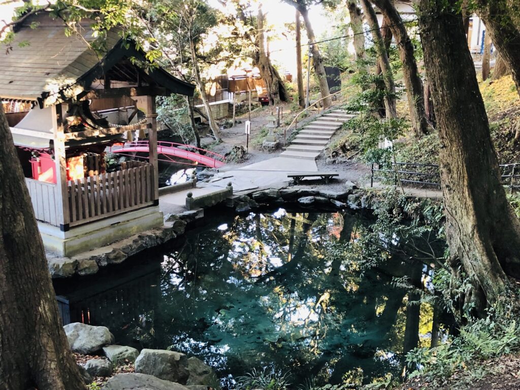 ことねの写メ日記