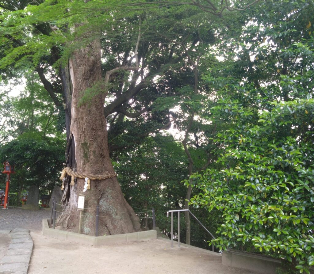 まひるの写メ日記