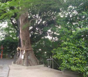 まひる｜日立デリヘルの写メ日記