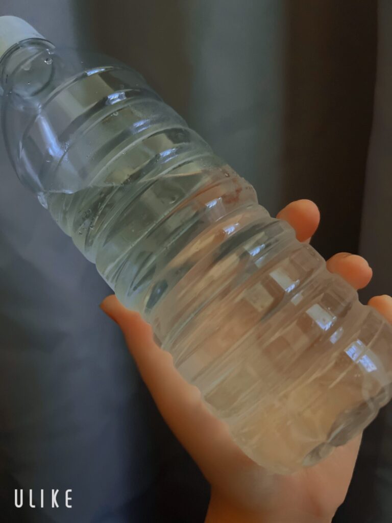てんの写メ日記
