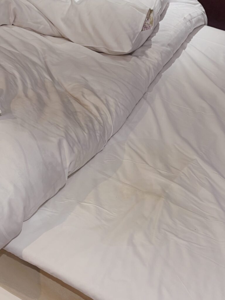 なおの写メ日記