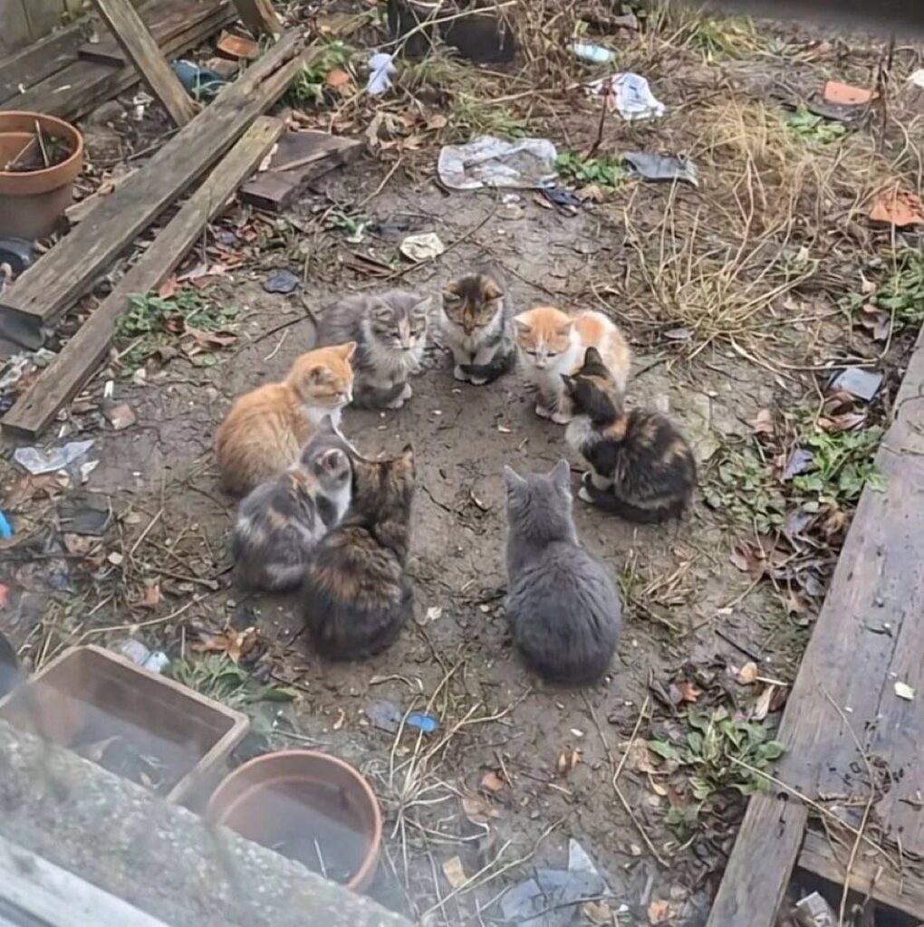 ふうかの写メ日記