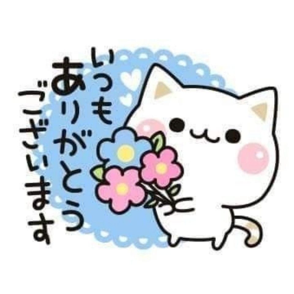 ふうかの写メ日記