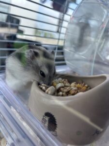 ふうか｜日立デリヘルの写メ日記