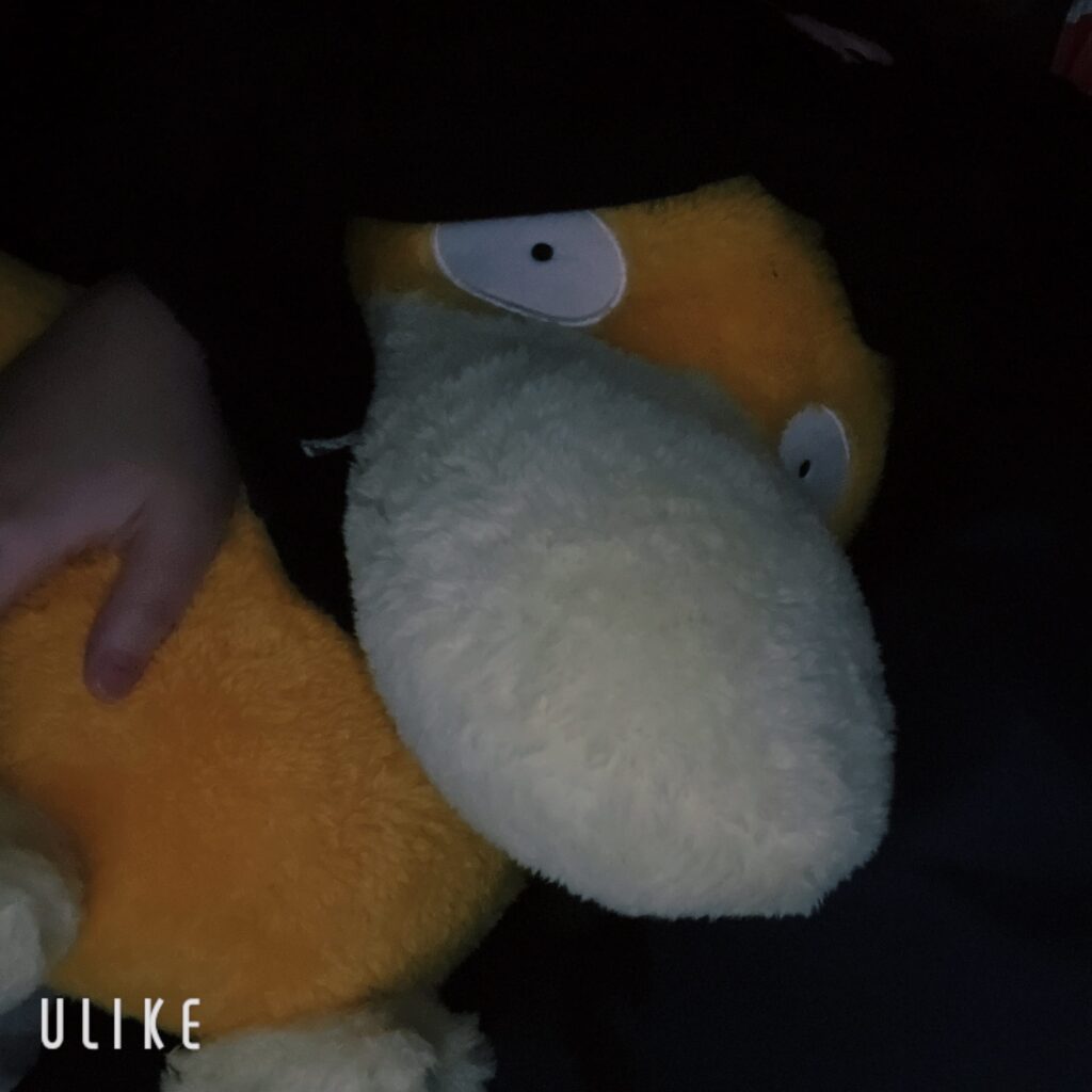 てんの写メ日記