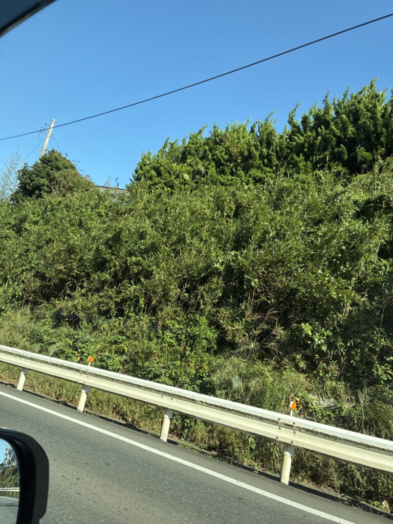 ゆうかの写メ日記